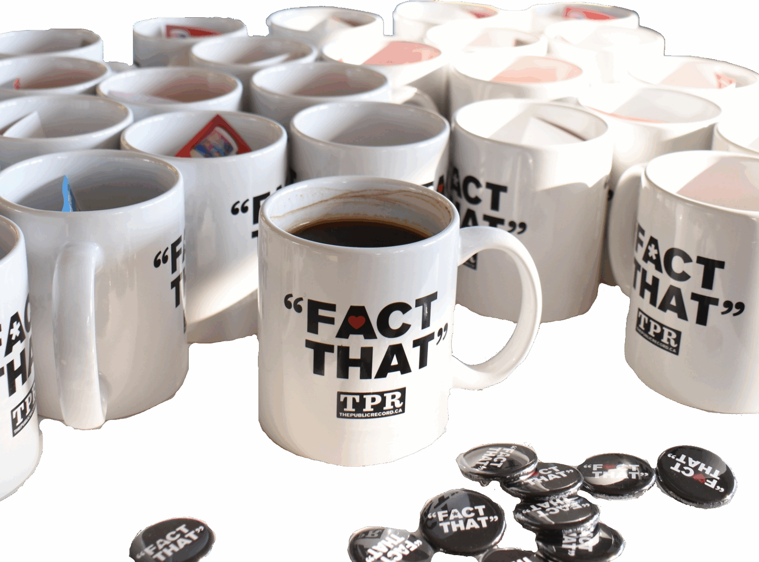 Ward 4 Public Trustee ByElection Voting Day Will January 6 or 7, 2025