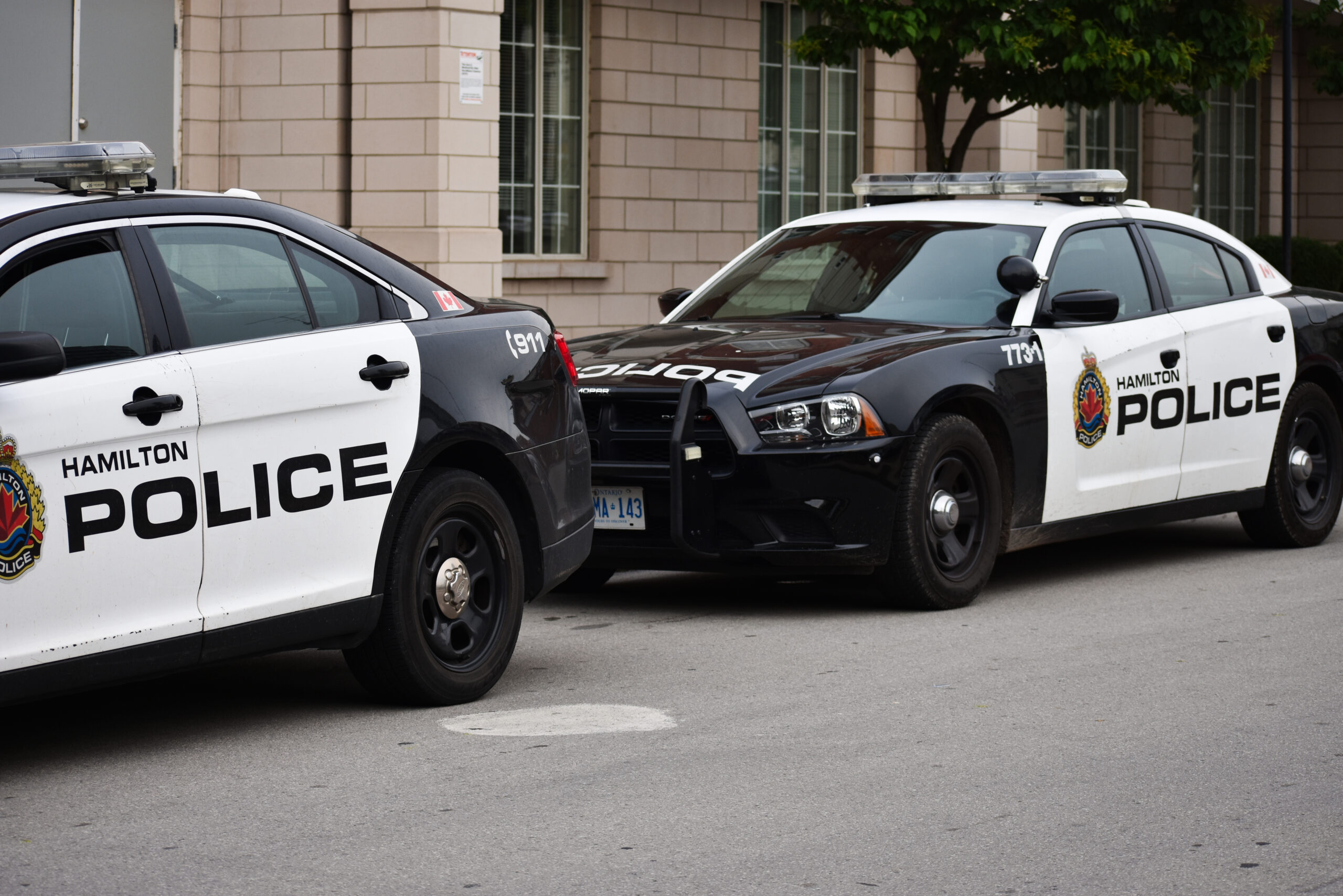 Two Hamilton Police Cruiser cars on a street.