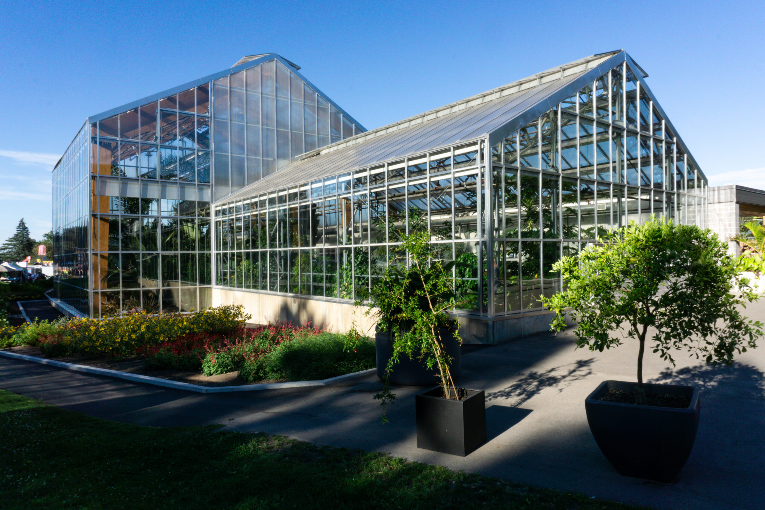 BRIEF Gage Park Greenhouse is Open Again TPR Hamilton Hamilton's
